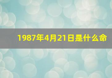 1987年4月21日是什么命