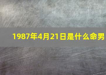 1987年4月21日是什么命男