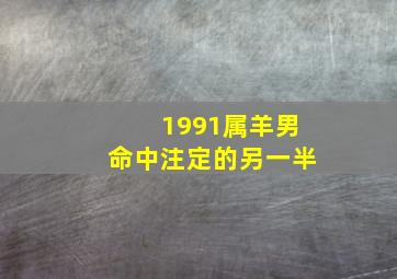 1991属羊男命中注定的另一半