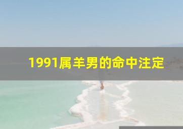 1991属羊男的命中注定