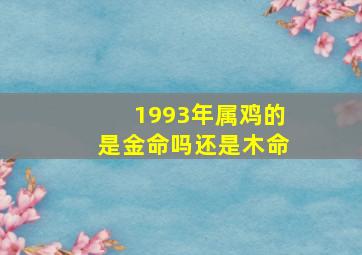 1993年属鸡的是金命吗还是木命