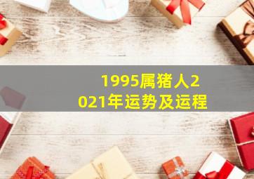 1995属猪人2021年运势及运程