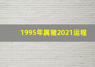 1995年属猪2021运程