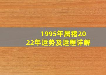 1995年属猪2022年运势及运程详解