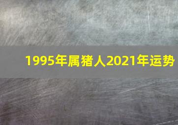 1995年属猪人2021年运势