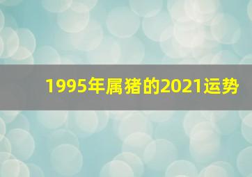 1995年属猪的2021运势