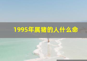 1995年属猪的人什么命