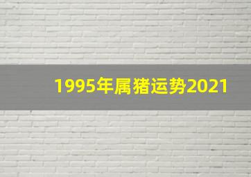 1995年属猪运势2021