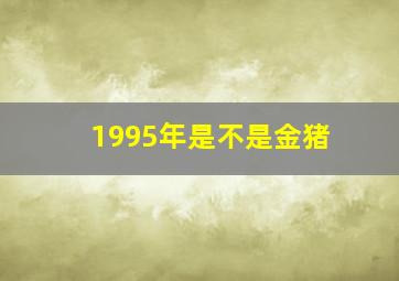 1995年是不是金猪