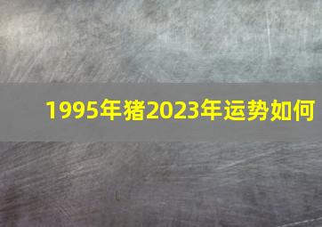 1995年猪2023年运势如何