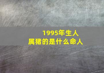 1995年生人属猪的是什么命人