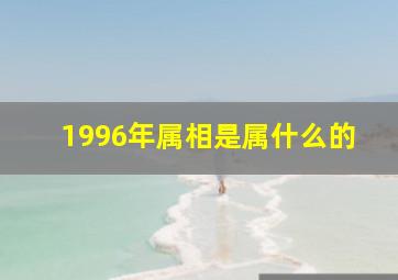 1996年属相是属什么的