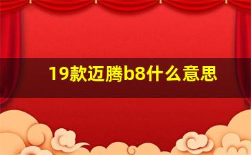 19款迈腾b8什么意思