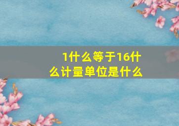 1什么等于16什么计量单位是什么