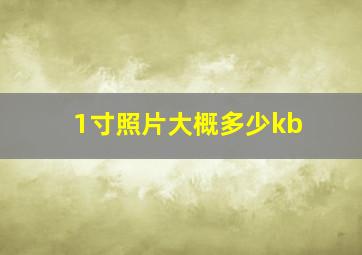 1寸照片大概多少kb