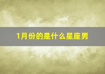 1月份的是什么星座男