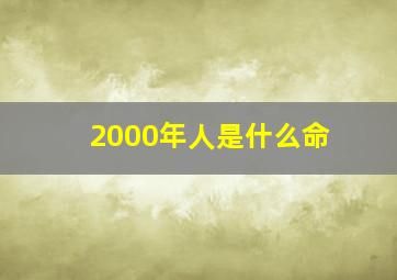 2000年人是什么命