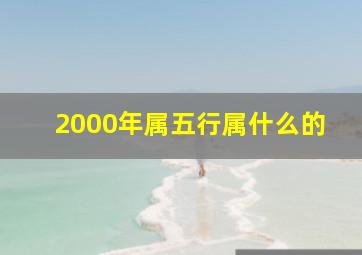 2000年属五行属什么的