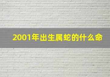 2001年出生属蛇的什么命