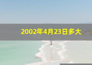 2002年4月23日多大