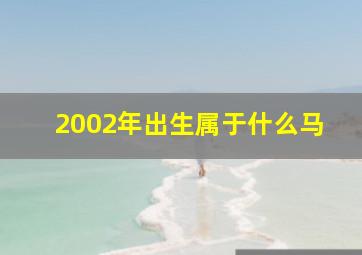 2002年出生属于什么马