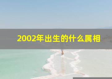 2002年出生的什么属相