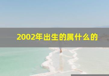 2002年出生的属什么的