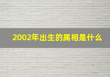 2002年出生的属相是什么