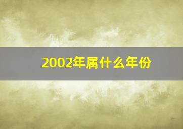 2002年属什么年份