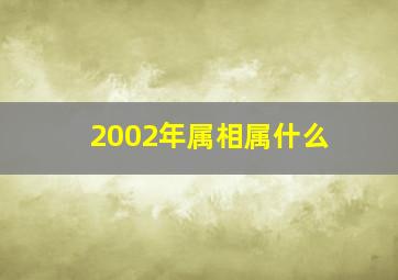 2002年属相属什么