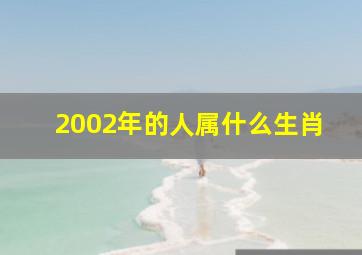 2002年的人属什么生肖