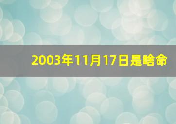 2003年11月17日是啥命