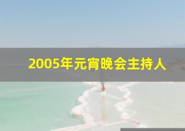 2005年元宵晚会主持人