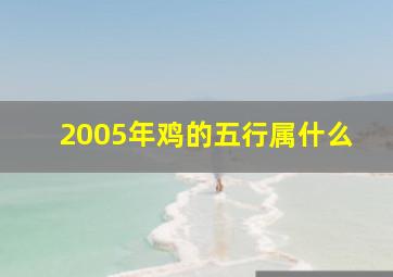 2005年鸡的五行属什么