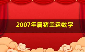 2007年属猪幸运数字