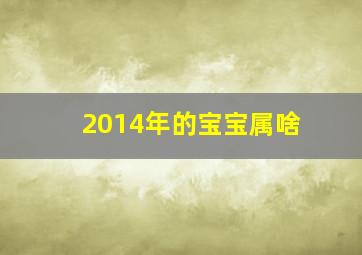 2014年的宝宝属啥