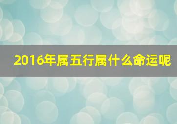 2016年属五行属什么命运呢