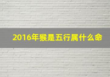 2016年猴是五行属什么命