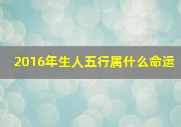 2016年生人五行属什么命运