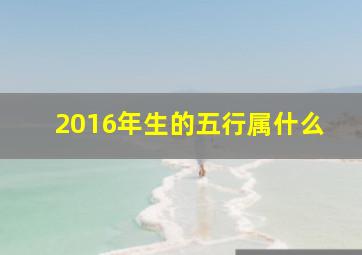 2016年生的五行属什么