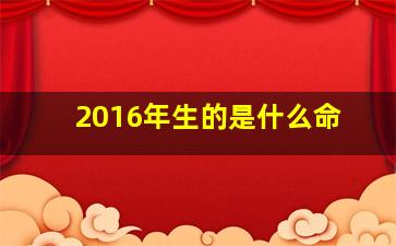 2016年生的是什么命