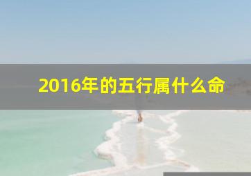 2016年的五行属什么命