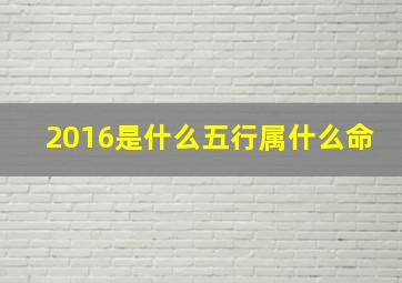 2016是什么五行属什么命