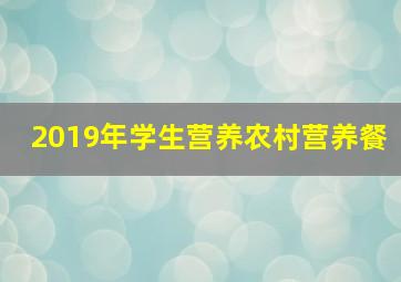 2019年学生营养农村营养餐