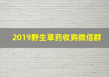 2019野生草药收购微信群