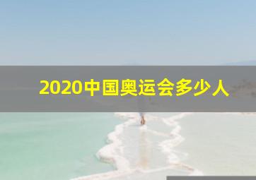 2020中国奥运会多少人