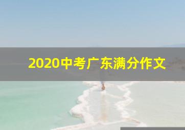 2020中考广东满分作文