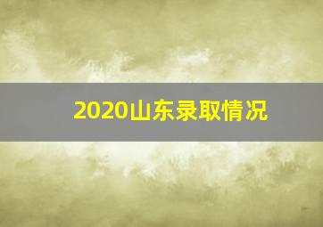 2020山东录取情况