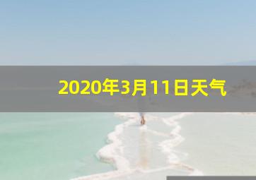 2020年3月11日天气