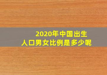 2020年中国出生人口男女比例是多少呢